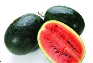 泉州网红吃瓜事件视频,一场网络热议的幕后真相揭秘