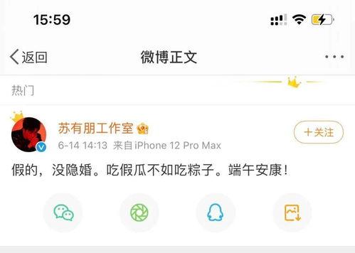 只吃瓜不评论网曝,网曝现象背后的真相