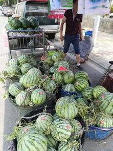 诸暨吃瓜网红事件,网络舆论的风暴与反思