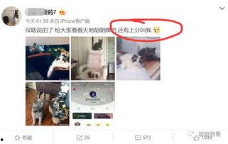 网红吃瓜出轨视频大全,吃瓜视频大全盘点