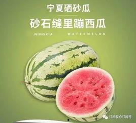 1元吃瓜网红,网红吃瓜界的传奇崛起