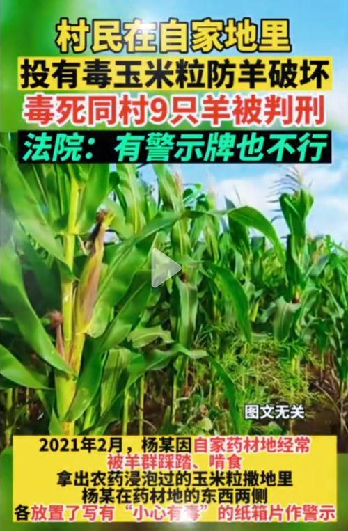 51亿吃瓜网,揭秘娱乐圈幕后故事，带你领略娱乐风云