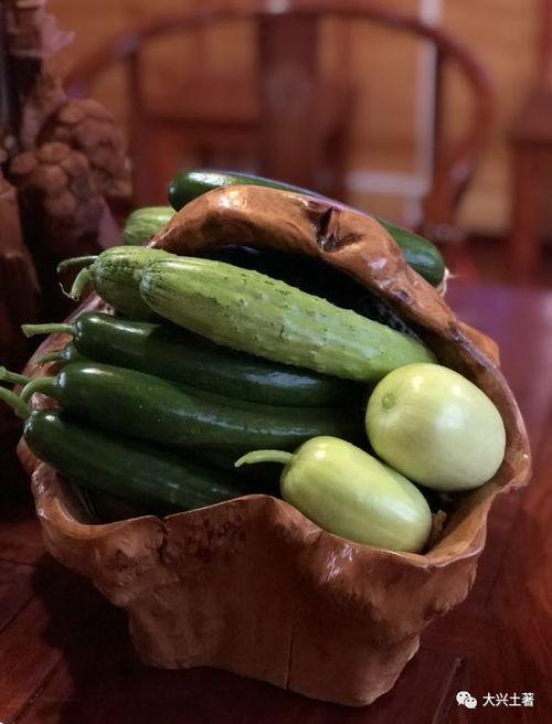 网红韩格婧吃瓜图片,揭秘娱乐圈幕后真相