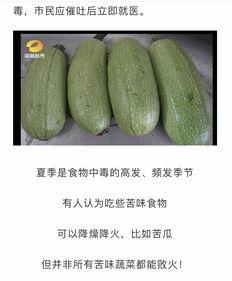 吃网瓜中毒,揭秘网络谣言的危害与应对策略