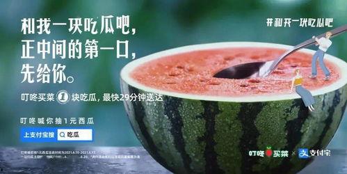 吃瓜qq网,网络舆论场中的“瓜田”风云