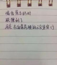 网红吃瓜感言文案怎么写,揭秘幕后真相与情感波动