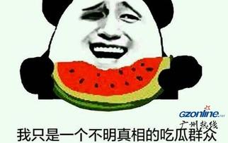 网明吃瓜群众