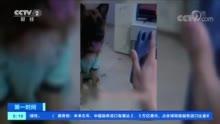 网红旅游吃瓜走红视频播放