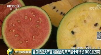 全世界吃瓜网官网